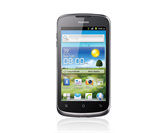 Ascend Y300