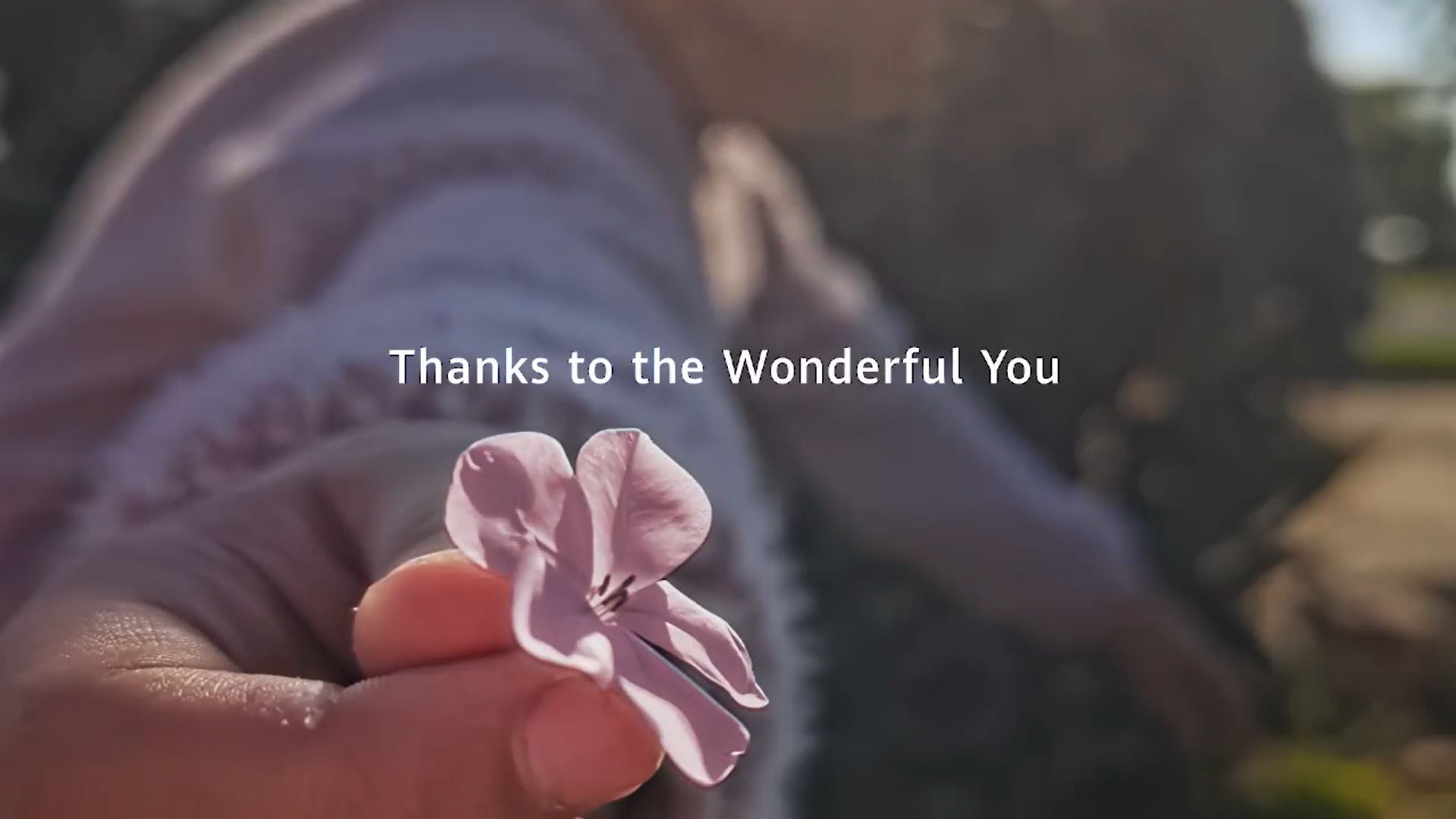 Thanks to the Wonderful You