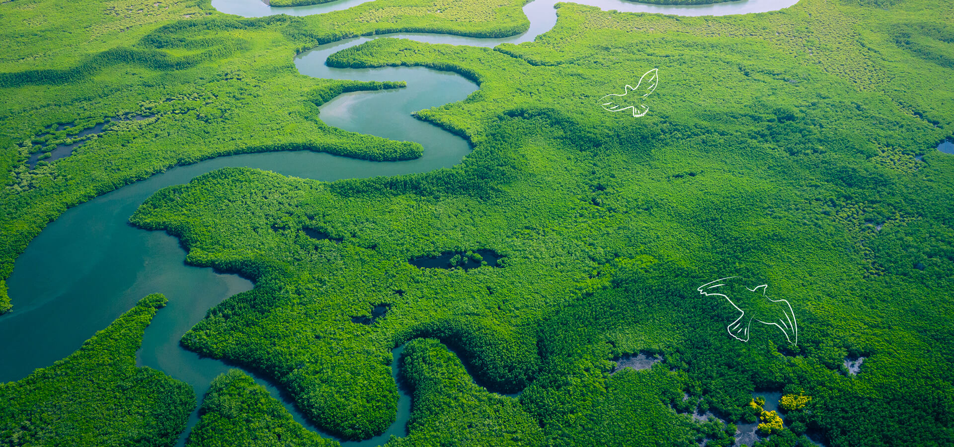 HUAWEI 绿色环保 KV