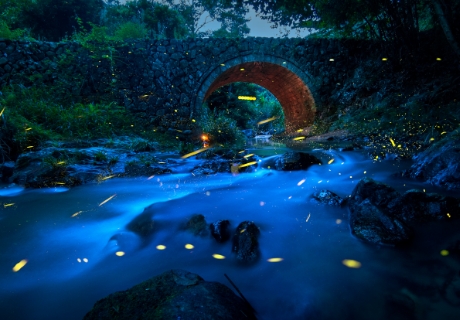 古桥夜色