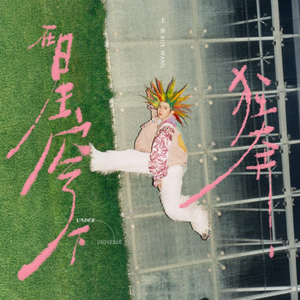 华为音乐专辑墙，海量超高清曲库,千万级新歌热曲，每首都是超高清