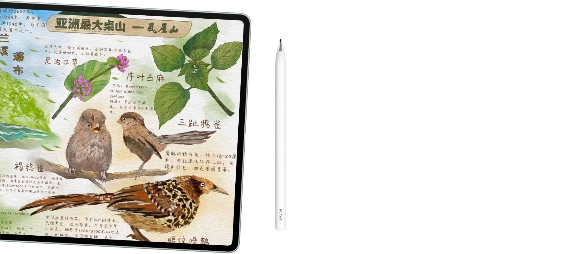 华为笔记更多功能展示