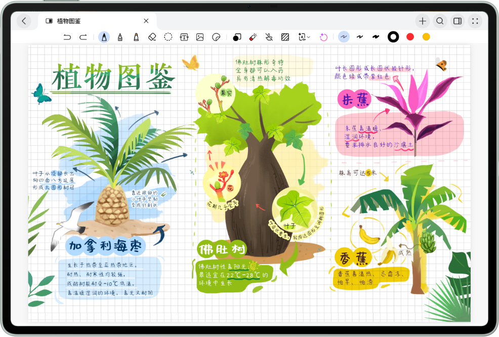 华为笔记产品定位
