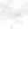 7 大动态天气背景之雷阵雨：实时模拟雷电与雨滴轨迹的沉浸式界面