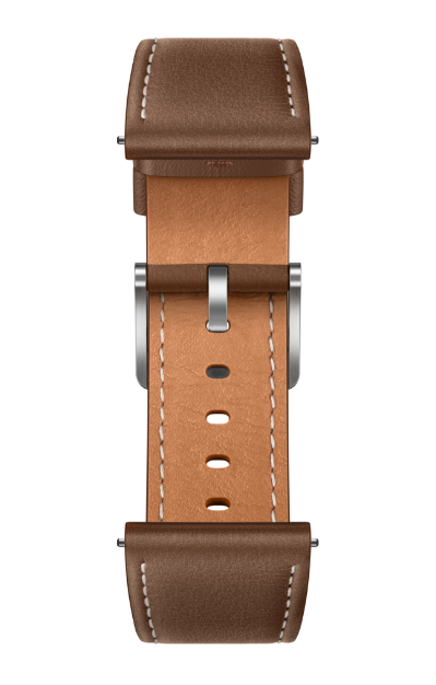 HUAWEI EasyFit 表带 颜色