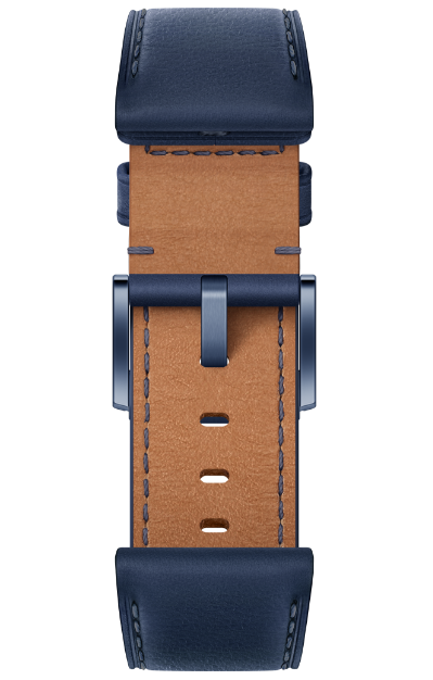 HUAWEI EasyFit 表带 颜色