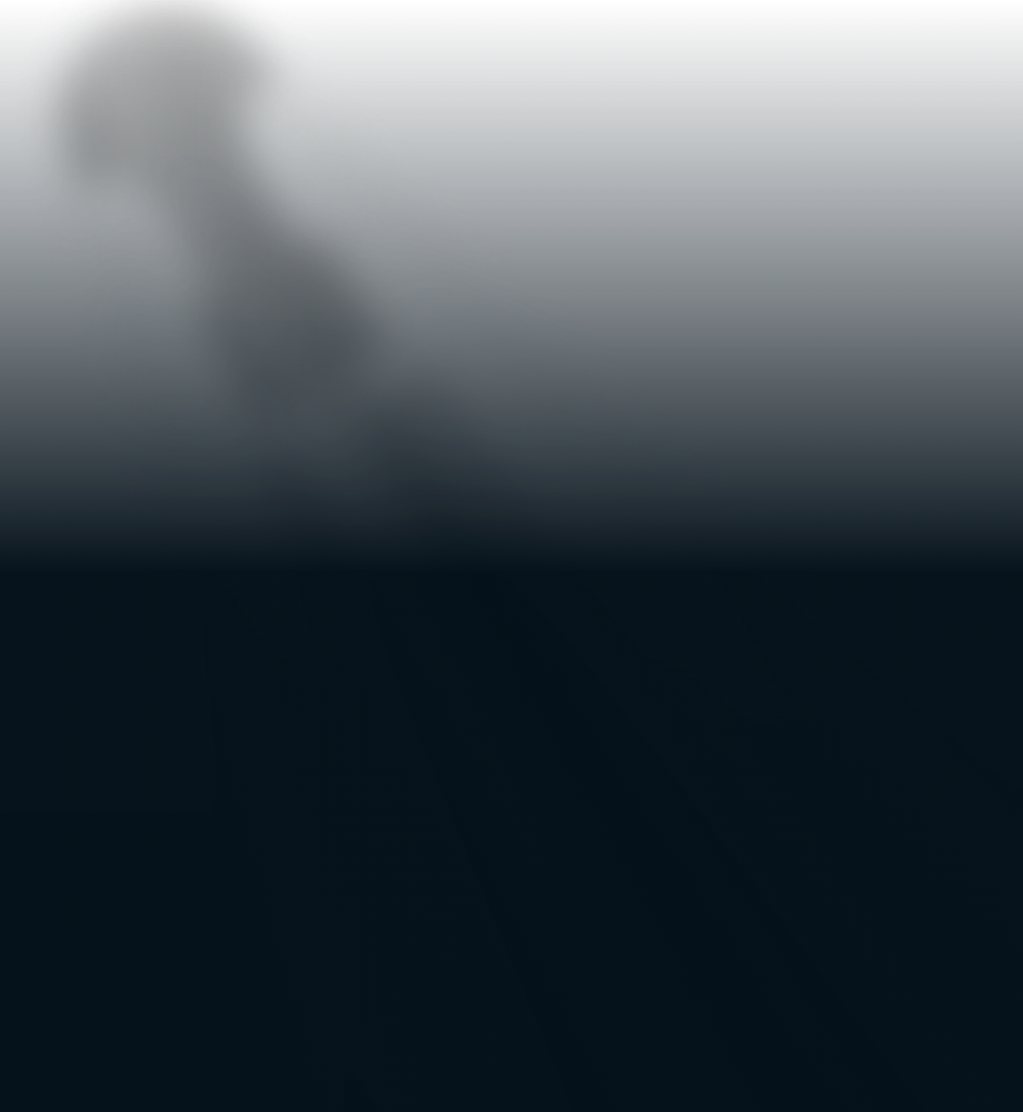 HUAWEI M-Pencil Pro 三种笔尖的区别及功能。