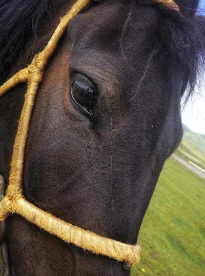 华为臻彩墨水 质量