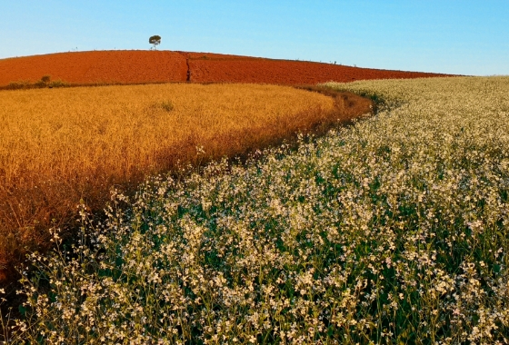 华为臻彩墨水 质量