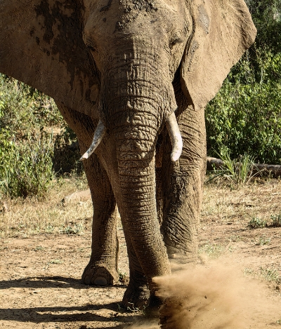 华为臻彩墨水 质量