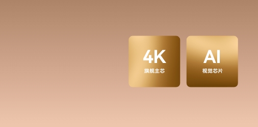 华为Vision智慧屏 3 智慧双芯