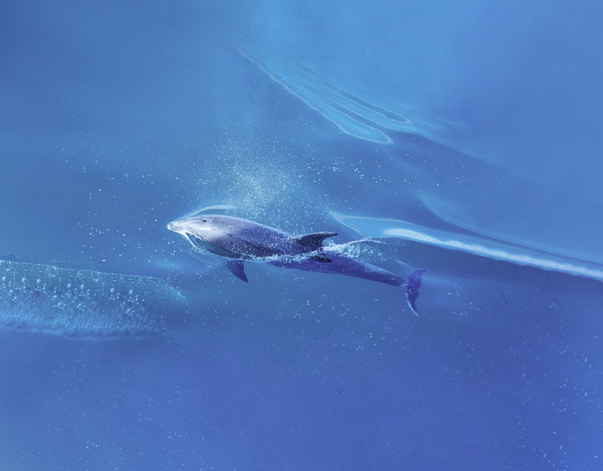 HUAWEI MateBook X Pro 多屏同色