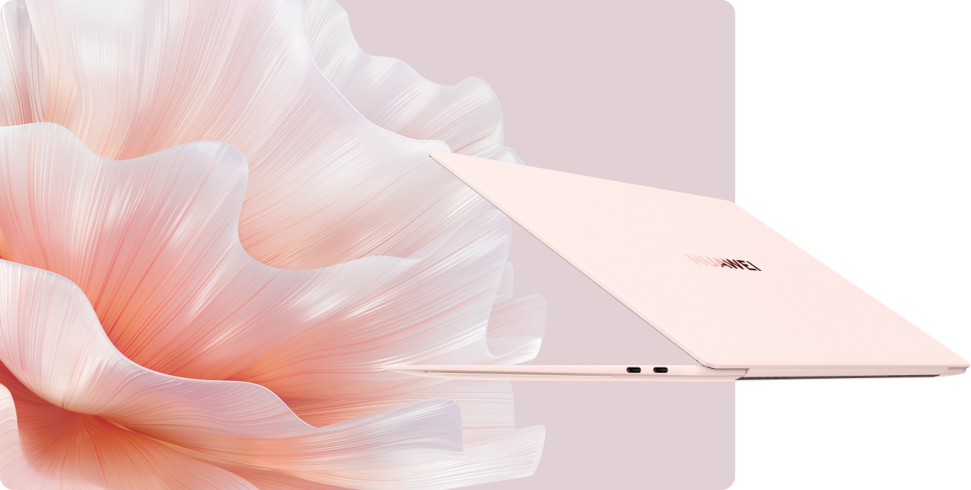 HUAWEI MateBook X Pro 颜色