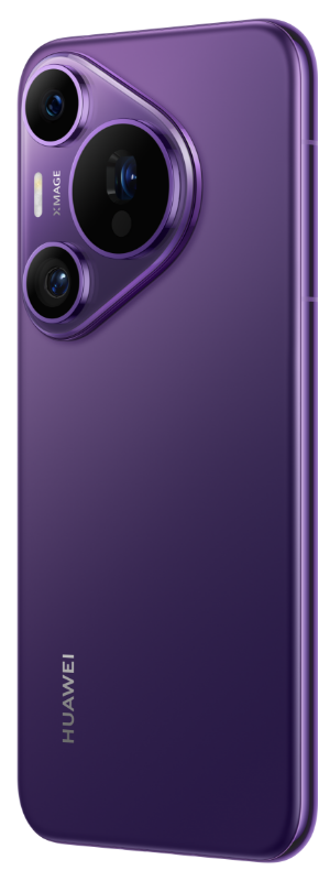 罗兰紫