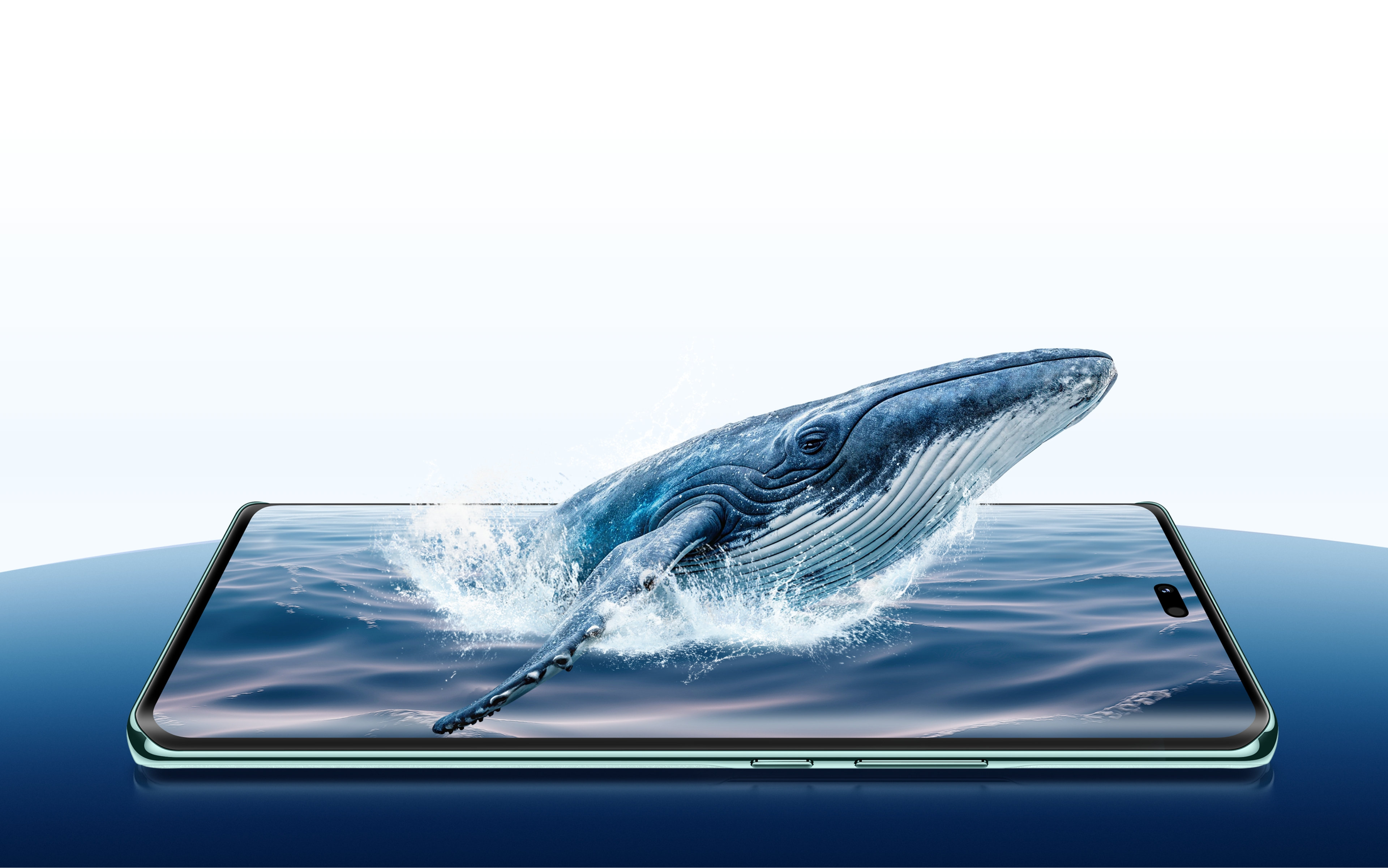 华为畅享 70X 尊享版背板融合巨鲸跃出海面概念，展示续航能力