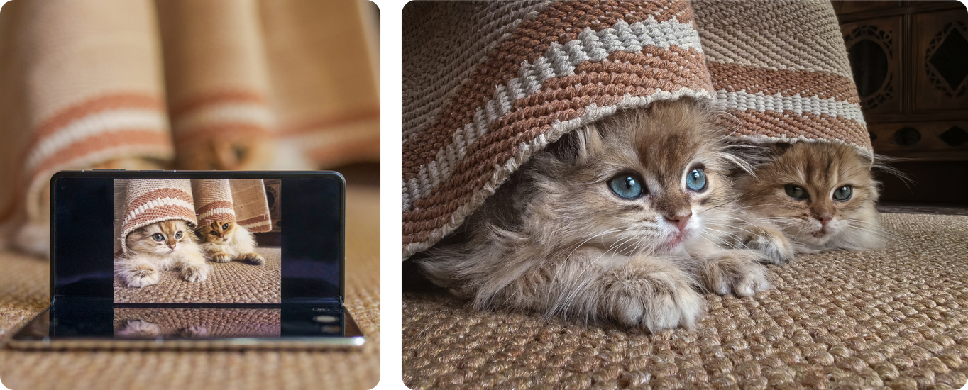 HUAWEI Mate X5 悬停多角度