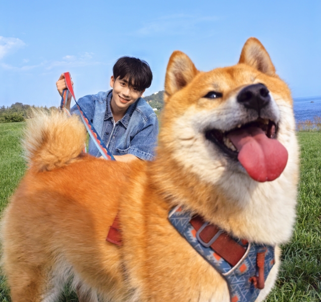 HUAWEI nova Flip S 智能运动抓拍