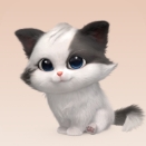 零度白 HUAWEI nova Flip S 的外屏展示可爱萌宠主题