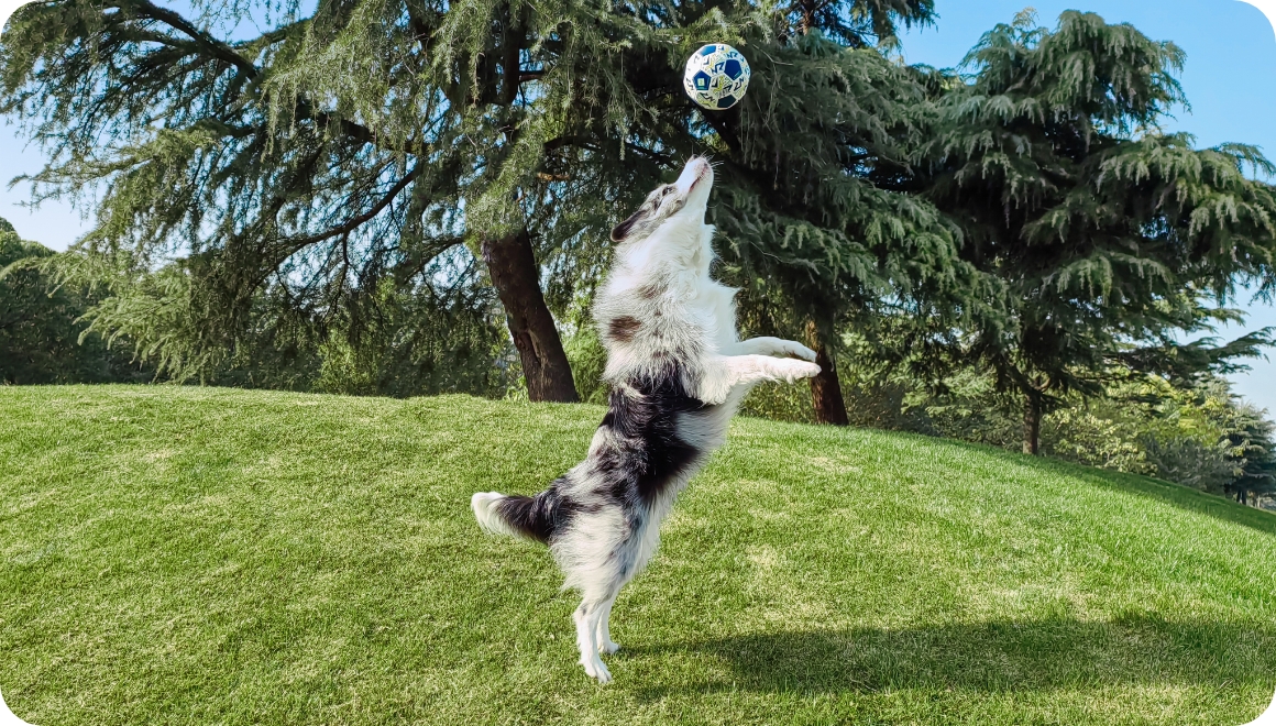 HUAWEI nova 12 活力版 抓拍