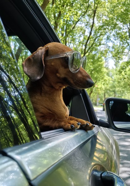 HUAWEI nova 13 Pro 影像样张,展示可变光圈