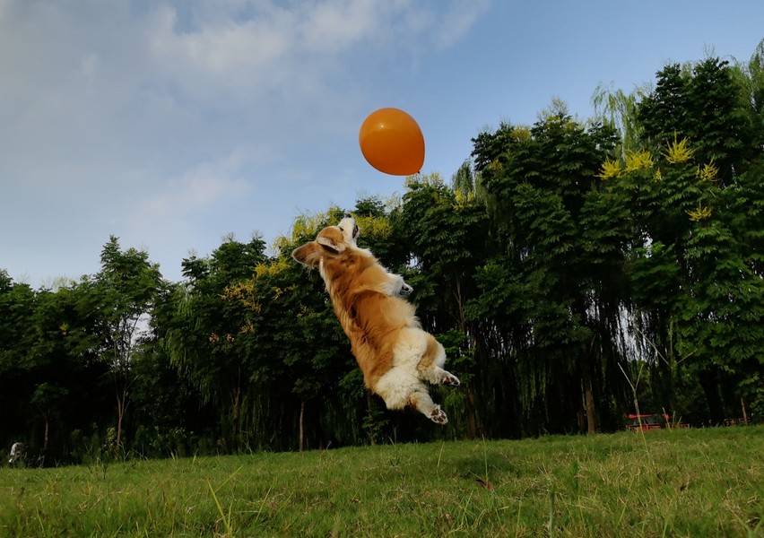 HUAWEI nova 13 Pro 影像样张,展示可变光圈