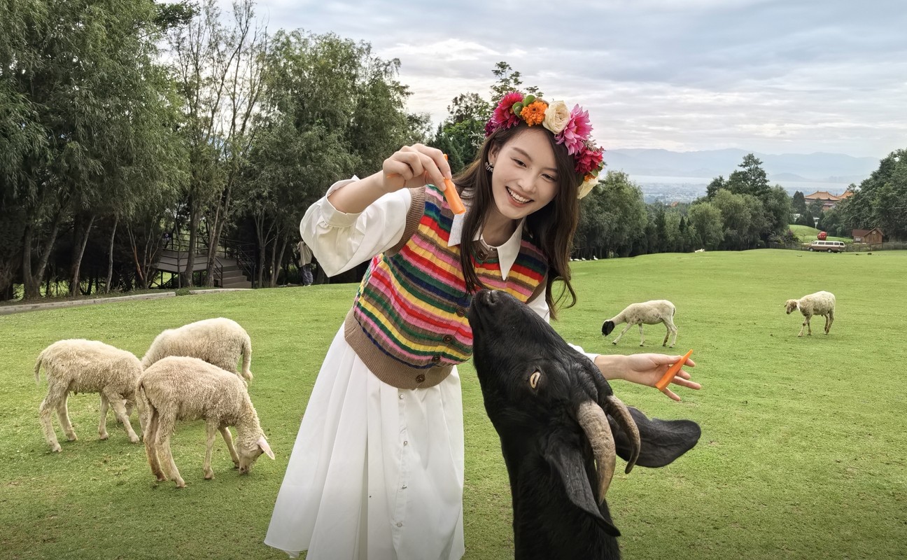 HUAWEI nova 13 Pro 影像样张，展示后置多焦段人像