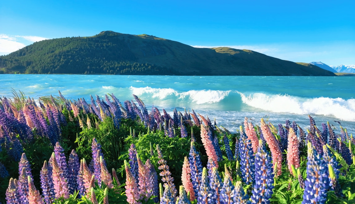 HUAWEI nova 15 Pro 动漫色卡样张，展示动漫色彩风格