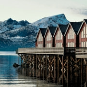 HUAWEI nova 15 Pro 胶片色卡样张，展示胶片色彩风格