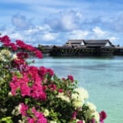 HUAWEI nova 15 Ultra 自然色卡样张，展示自然色彩风格