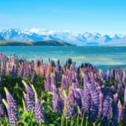 HUAWEI nova 15 Ultra 动漫色卡样张，展示动漫色彩风格