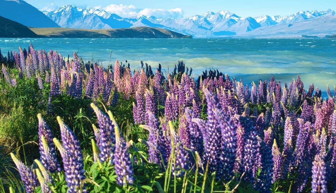 HUAWEI nova 15 Ultra 动漫色卡样张，展示动漫色彩风格