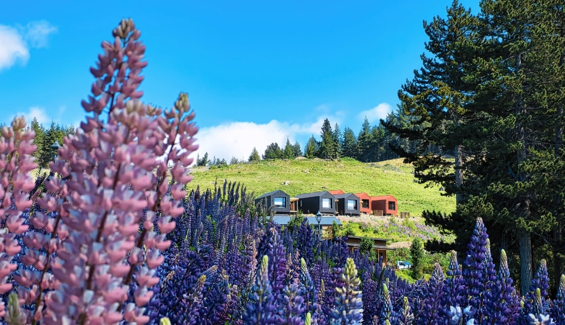 HUAWEI nova 15 动漫色卡样张，展示动漫色彩风格