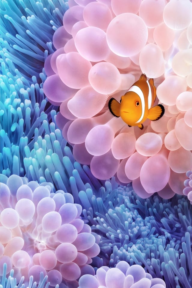 人持手机图，展示了HUAWEI nova 16 Pro 的外观