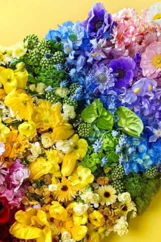 HUAWEI P60 Pro XMAGE色彩风格