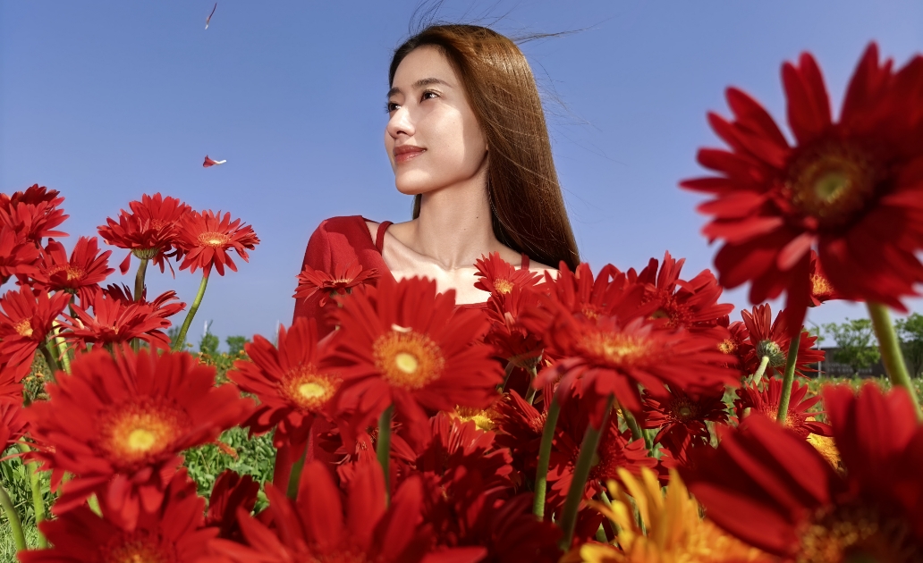 HUAWEI Pura 80 红枫原色影像拍摄的照片展示，体现照片的真实色彩