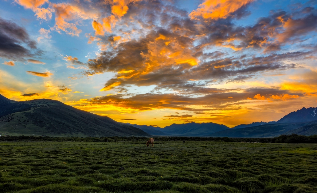 HUAWEI Pura 80 红枫原色影像拍摄的照片展示，体现照片的真实色彩
