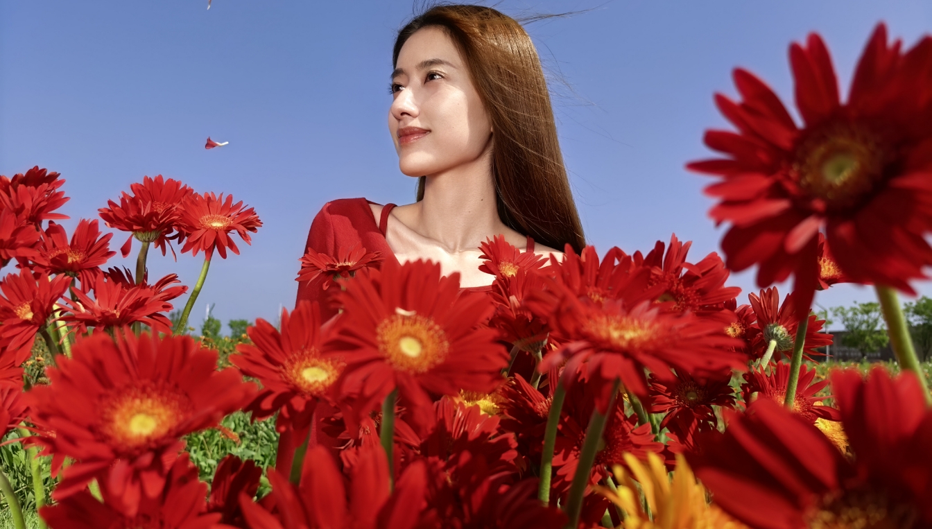 HUAWEI Pura 80 红枫原色影像拍摄的照片展示，体现照片的真实色彩