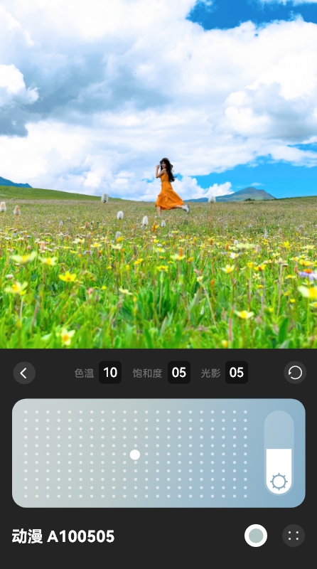 HUAWEI Pura 80 四种个性色卡的风格展示，体现多风格色卡的照片效果