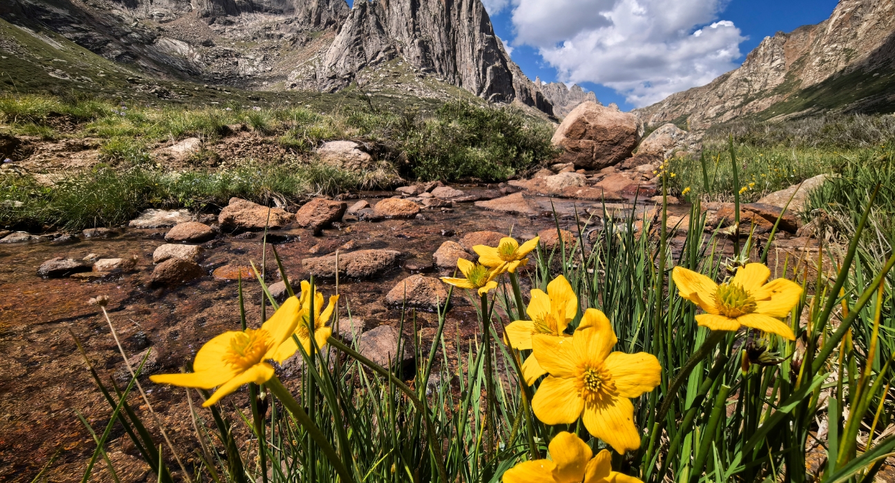 HUAWEI Pura 80 多焦段的照片展示，体现全焦段超清影像的能力