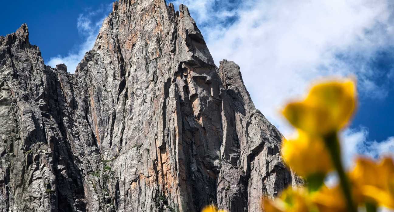 HUAWEI Pura 80 多焦段的照片展示，体现全焦段超清影像的能力