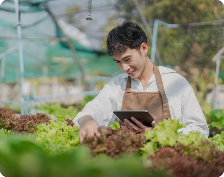 用户在乡村农场使用华为移动路由 5 连接平板，展示了华为移动路由 5 随时随地高速上网