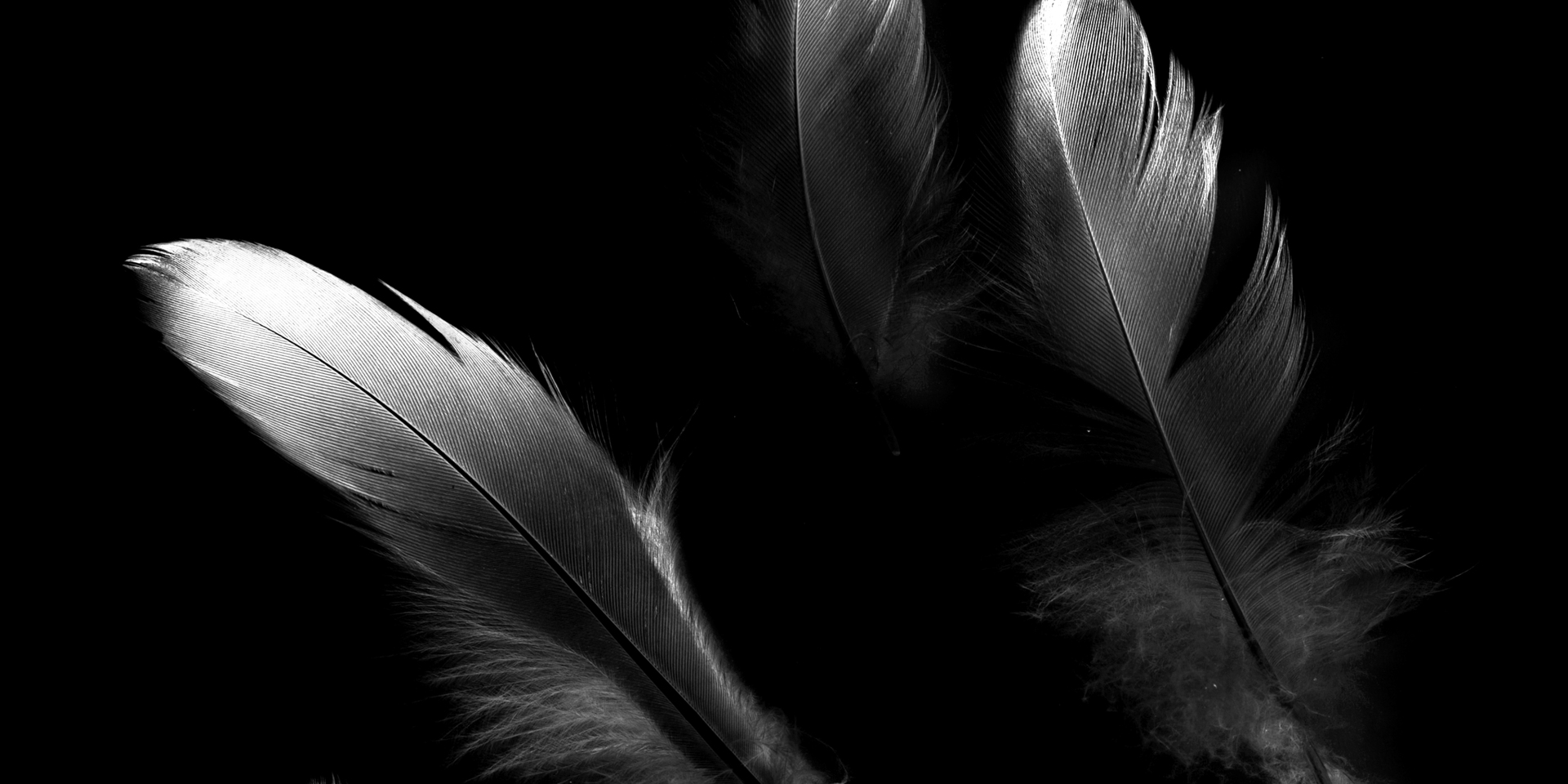 华为随行 WiFi 5 黑色