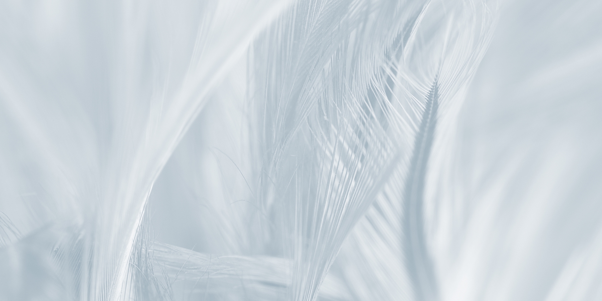 华为随行 WiFi 5 白色