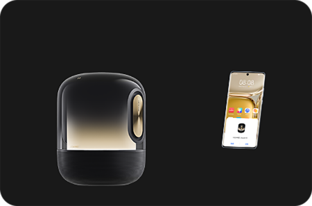 HUAWEI Sound X 鎏金剧院版 心动理由