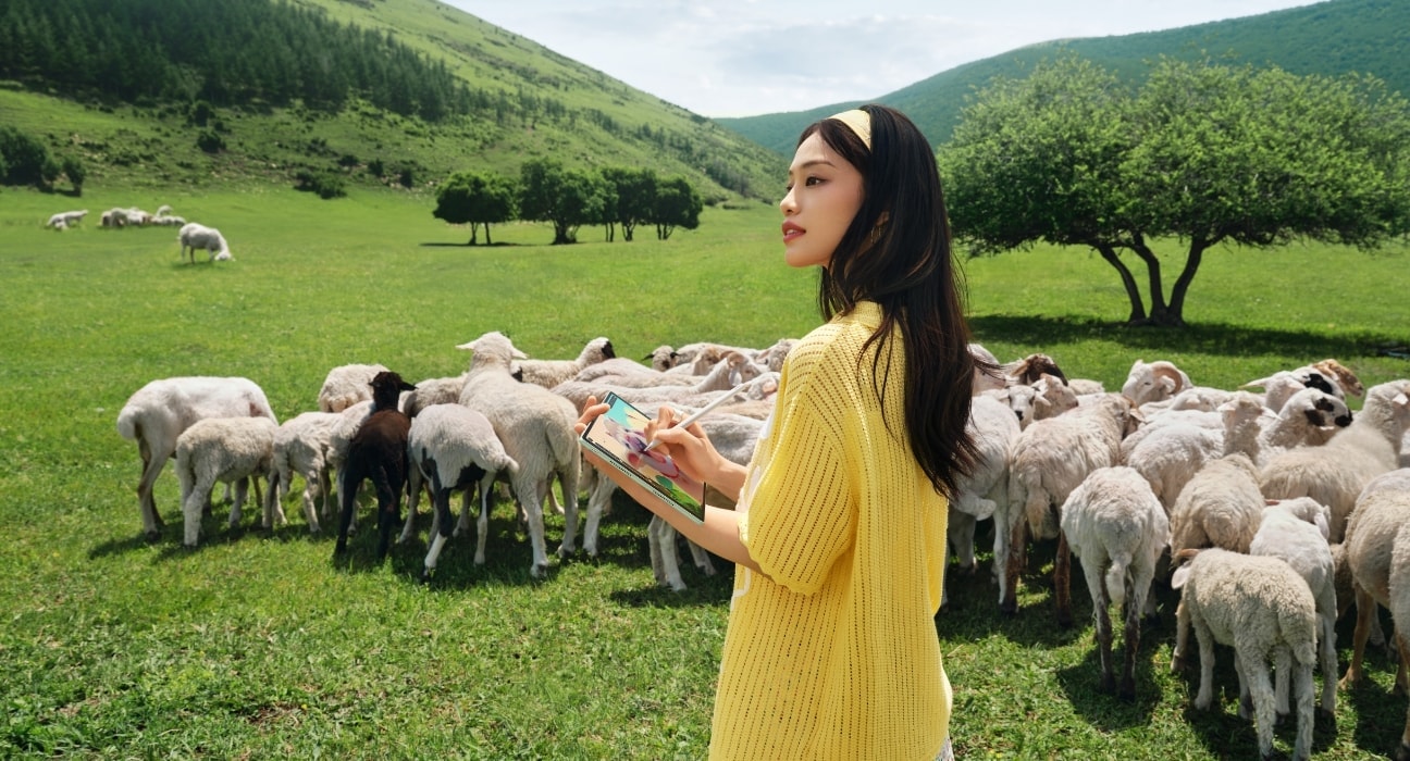 HUAWEI MatePad Air 一位女生在草原画图，背景是羊群