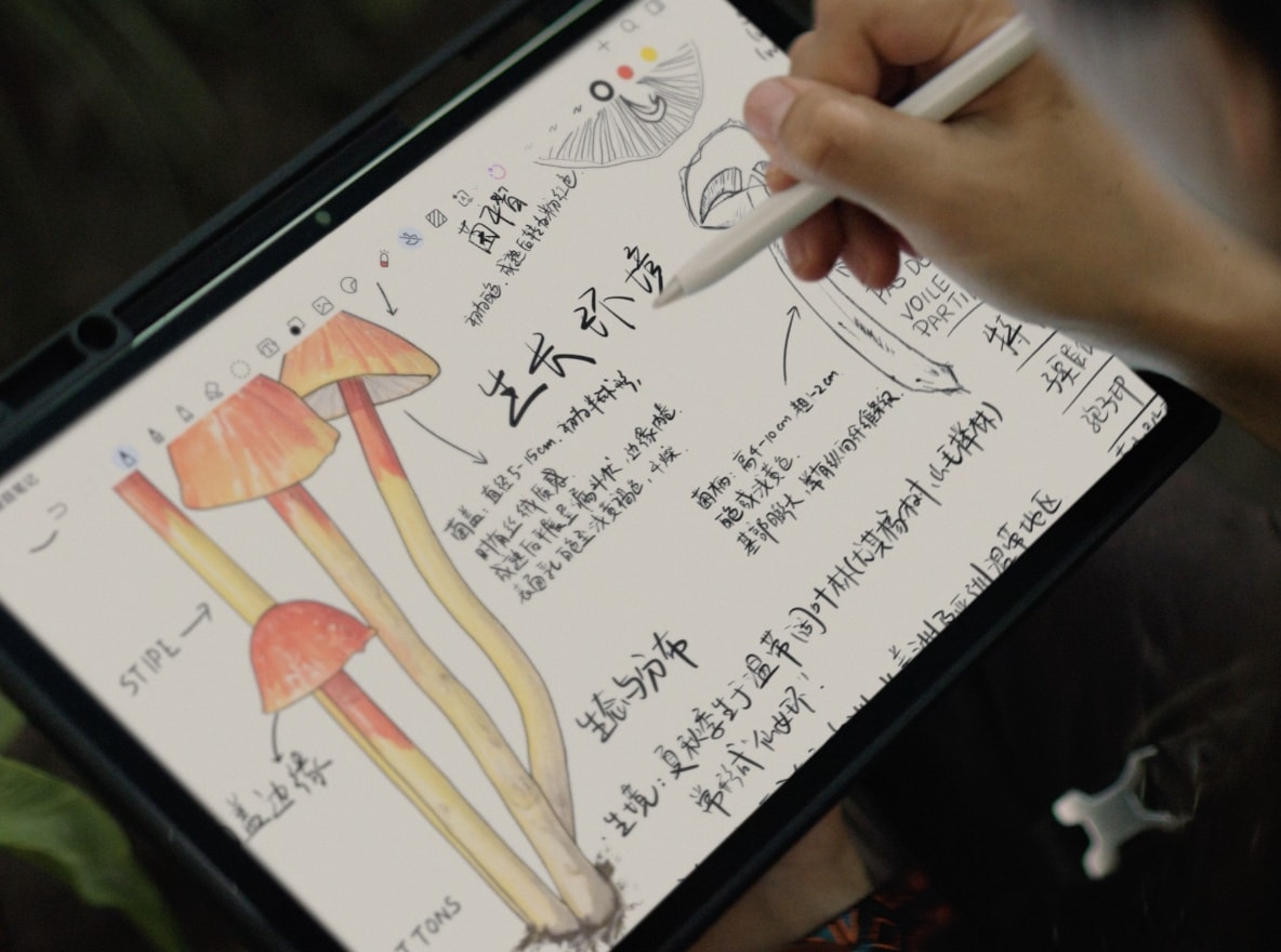 HUAWEI MatePad Air 展示字迹实时调整优化