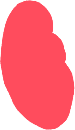 用户使用 HUAWEI M-Pencil Pro 在 HUAWEI MatePad Mini 上绘画，展现了平板与手写笔的绘画能力