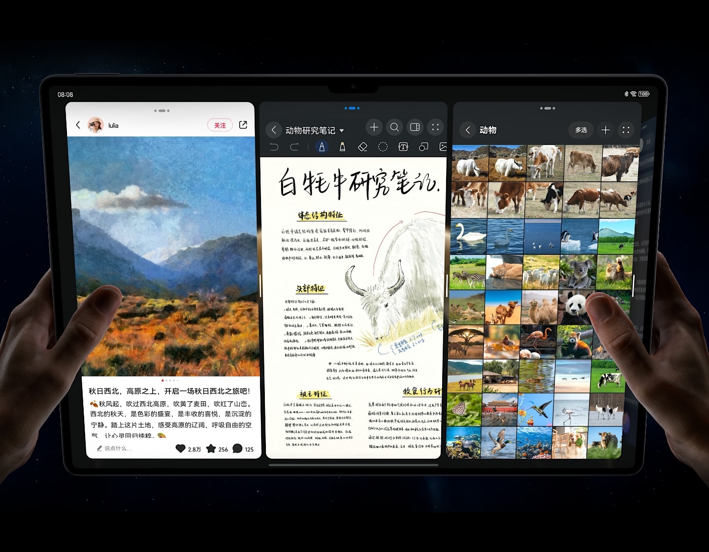 HUAWEI MatePad Pro 13.2 英寸多窗口白牦牛研究笔记编辑界面，展示全景多窗功能