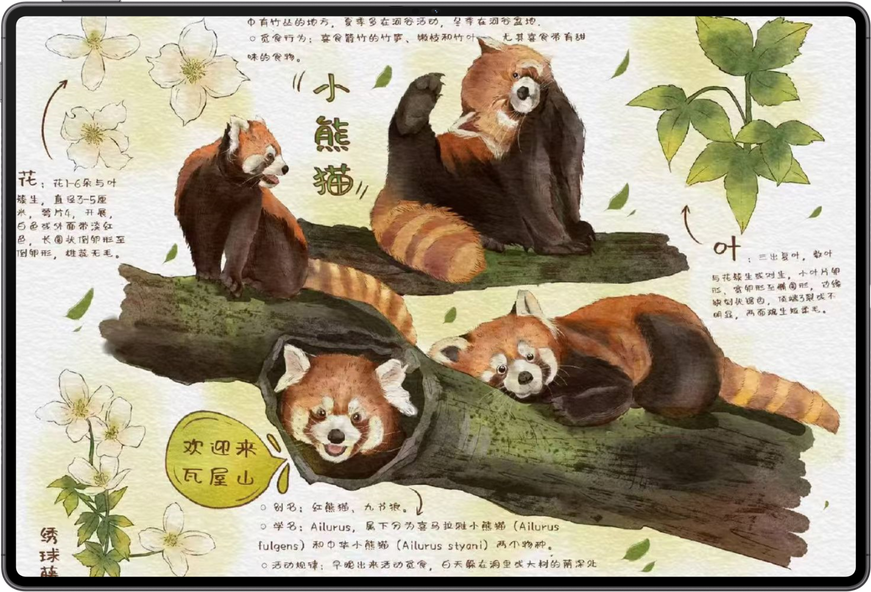 笔记作品，展示了华为笔记 app