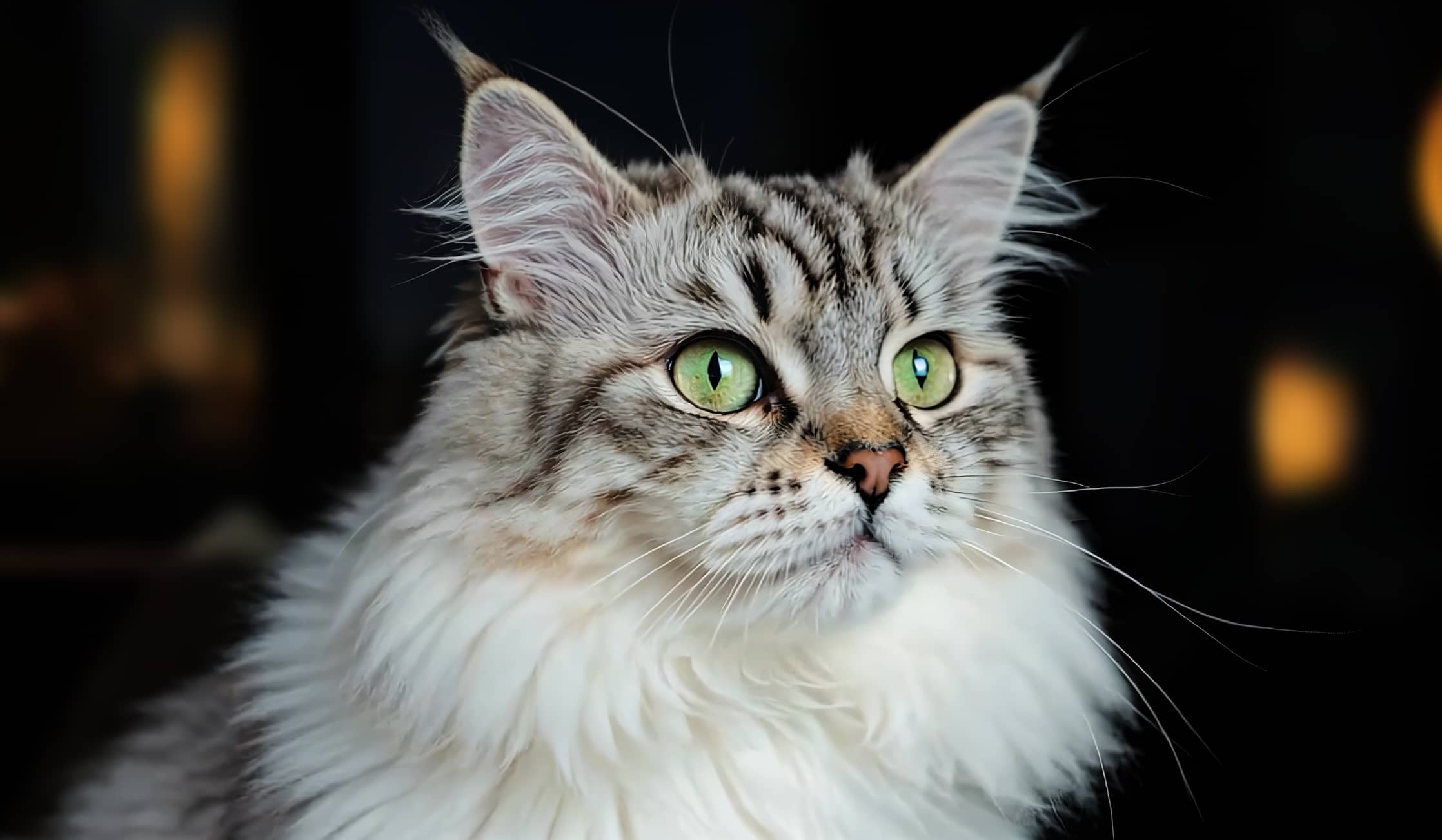 HUAWEI MateTV MAX 场景图，展示产品细节清晰显示能力